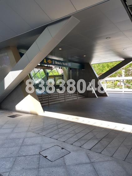 Beauty World Plaza (D21), Apartment #170532102